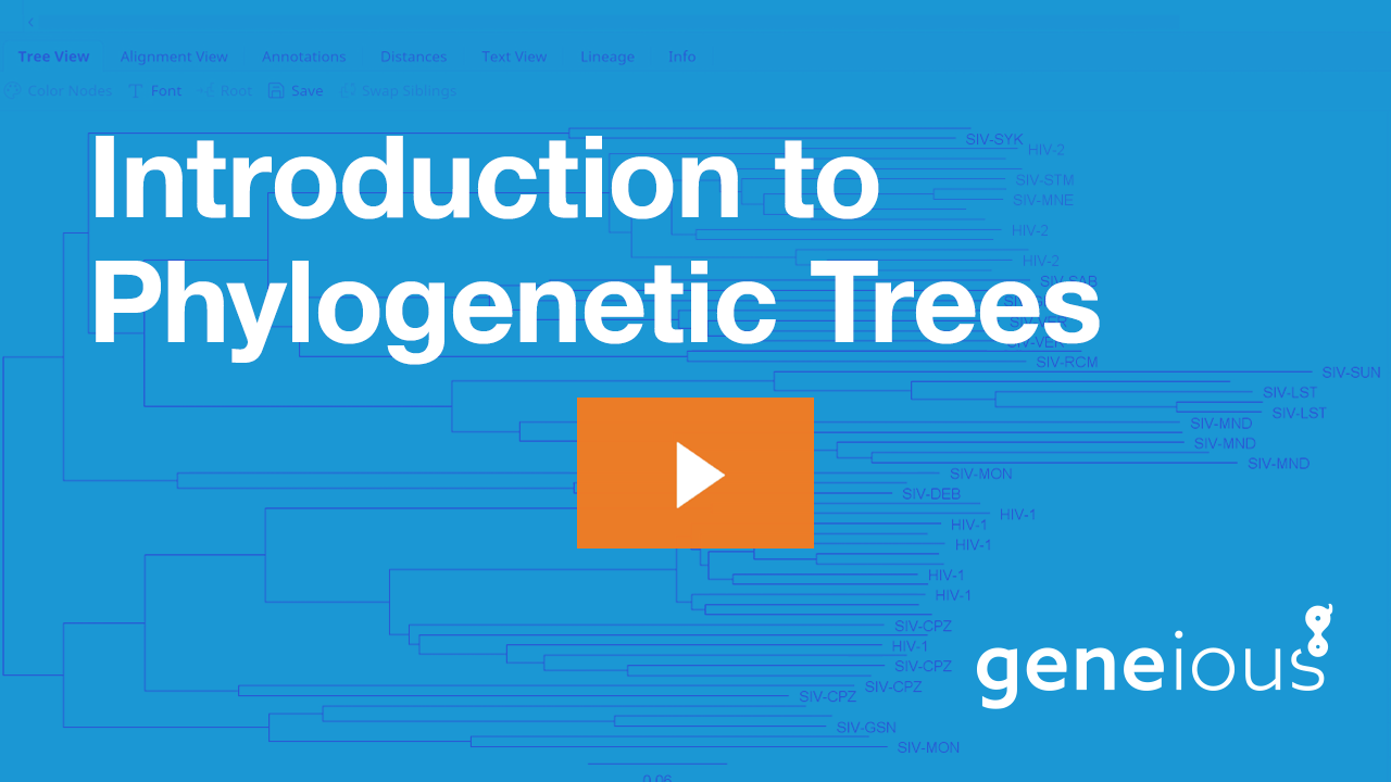 gn-introduction-to-phylogenetic-trees-playbutton-1